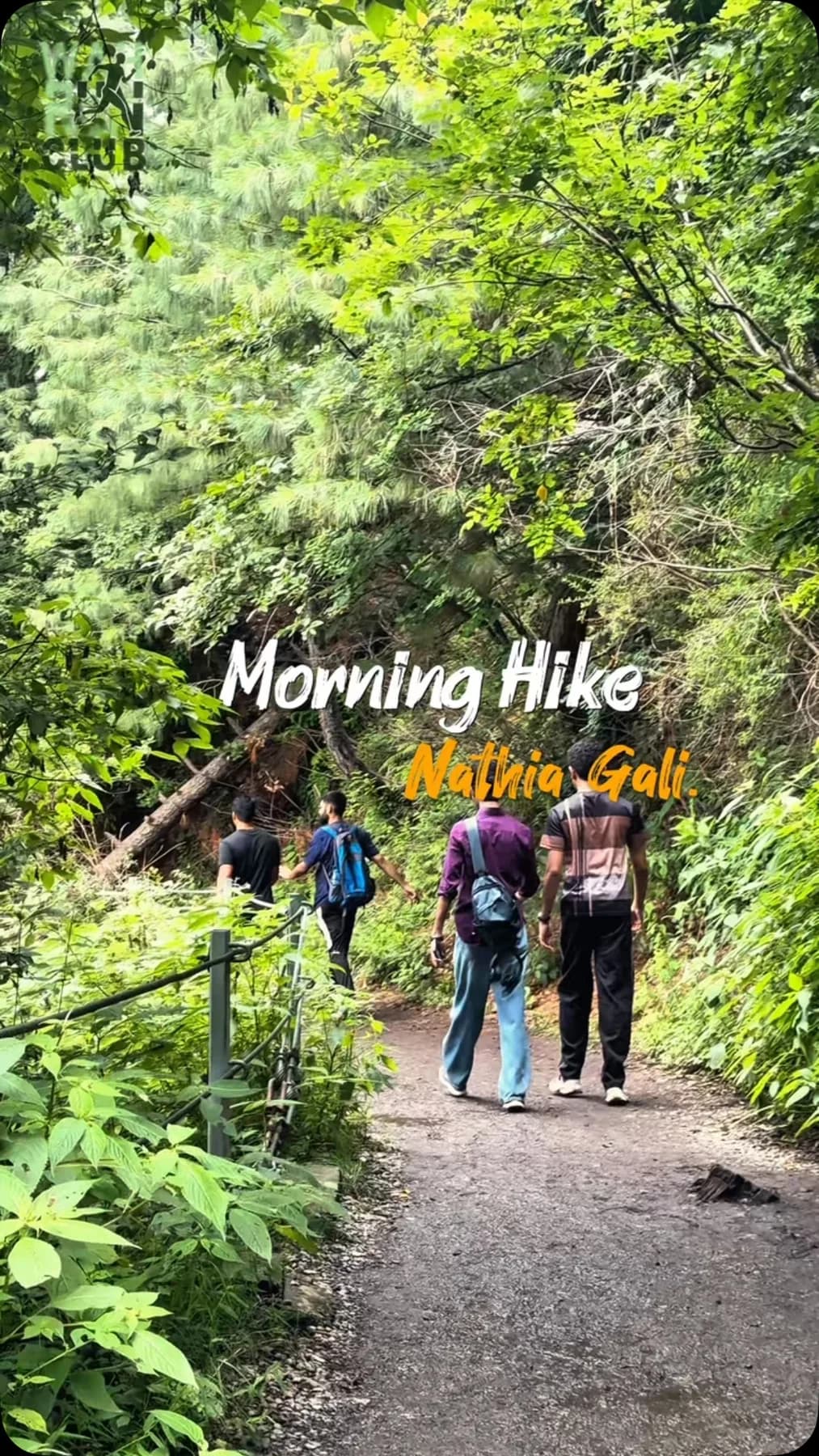 WRC hikers following a green forest trail in Nathia Gali